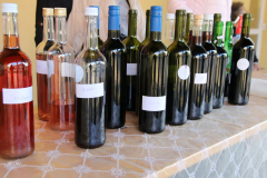 FB_IMG_1772029391007